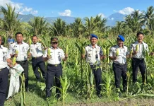 Dukung Ketahanan Pangan, Lapas Palu Panen Jagung dan Selada Hidroponik