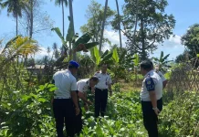 Kalapas Ampana Tinjau Program Ketahanan Pangan Warga Binaan