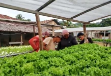 Kopdes Merah Putih dan Bumdes Bersatu Bangun Ekonomi Desa