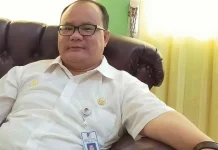 Kadinkes Touna Berharap Regulasi Menerima untuk Dokter Anak Daerah