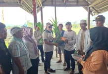 Bupati Touna Serahkan Bantuan Bibit Kelapa dalam untuk 8 Gapoktan di Una-una