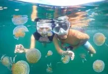 Wisata Diving Togean Dorong Pariwisata Bahari Daerah