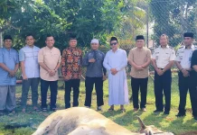 Lapas Ampana Sembelih Hewan Kurban Bantuan Menteri Hukum RI dan Wakil Ketua MPR RI