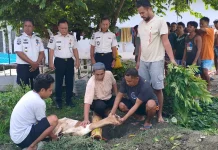 Lapas Ampana Kembali Lakukan Penyembelihan Kurban