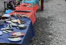 Pasar Tasorong Ampana Sepi Pengunjung, Pedagang Tetap Bertahan