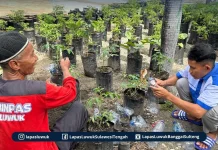 Warga Binaan Lapas Luwuk Sulap Limbah Plastik Jadi Pot Produktif