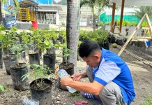 Warga Binaan Lapas Luwuk Sulap Botol Plastik Bekas Jadi Pot Gantung