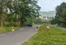 DLH Touna Optimalkan Pembersihan Jalur Dua Secara Berkala Ciptakan Estetika Kota