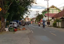 Pedagang Buah Tepi Jalan Ampana Picu Kekhawatiran Lalu Lintas