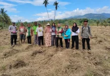 Bhabinkamtibmas Desa Mantangisi Turut Bantu Petani Menanam Jagung