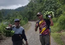 Petani Uempanapa dan Kilo Desa Uemakuni Touna Membutuhkan Infrastruktur JUT
