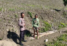 Polsek Ulubongka Touna Pantau Aktivitas Petani Jagung Desa Borneang