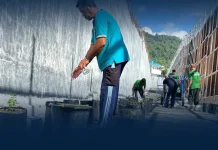 Dukung Ketahanan Pangan, Warga Binaan Lapas Luwuk Kembangkan Hortikultura