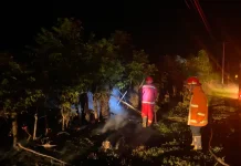 Damkarmat Touna Berhasil Tangani Kebakaran Lahan di Padang Uloyo