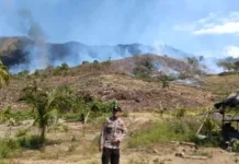 Personel Polsek Nuhon Respon Cepat Laporan Terjadi Karhutla Desa Batu Hitam