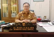 Dinas Kesehatan Touna Lakukan Fogging Antisipasi Penyakit DBD