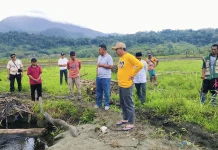 Bupati Touna Tinjau Lokasi Rencana Pembangunan Irigasi di Desa Mpoa