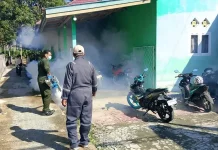 Cegah Penyebaran DBD, Dinkes Touna Lakukan Fogging di Uemalingku