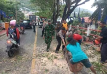 TNI Polri Bersama Warga Luwuk Banggai Kerjasama Tangani Pohon Tumbang