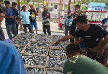 Harga Ikan di Ampana Kembali Naik, Cuaca Laut Jadi Pemicu