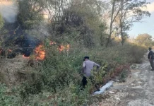 Kapolsek Bualemo Beserta Personel dan Warga Bantu Padamkan Kebakaran Karhutla