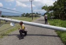 Hujan Guyur Parimo dalam Sepekan, Menyebabkan 11 Tiang Listrik Tumbang ke Jalan