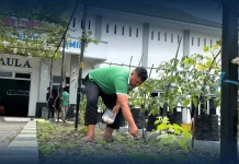 Warga Binaan Lapas Luwuk Sulap Lahan Terbatas Menjadi Kebun Produktif