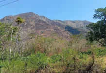 Kebakaran Hutan Gunung Tempasan Masih Sisakan Titik Api