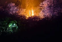 Karhutla Batu Pongke Lokasi Sulit Dijangkau dan Angin Kencang Hambat Pemadaman