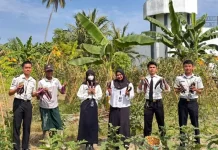 Produktif Dari Balik Jeruji, WBP Lapas Ampana Panen Terong Hasil Pertanian