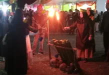 Pemkab Touna Perkuat Eksistensi Budaya Melalui Festival Bakulupi 2026