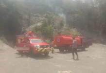 Karhutla di Balanggala Touna Hanguskan 2 Hektar Lahan Pertanian