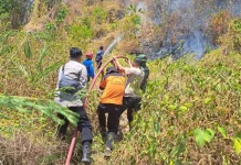 Pemadaman Karhutla di Gunung Tampanombo Masih Dilakukan
