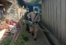 Kabupaten Tojo Una-Una KLB DBD