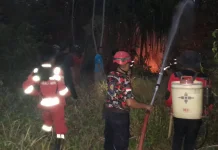Karhutla di Uekuli Touna, Tim Gabungan Padamkan Api sebelum Meluas