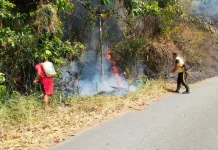 Karhutla Melanda Tangkura Poso, Polsek Kerahkan Personel Padamkan Api