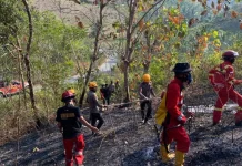 Personil Brimob dan Damkar Touna Berhasil Padamkan Karhutla di Desa Bonebae