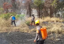 Polres Touna Himbau Warga Tingkatkan Kewaspadaan dan Cegah Karhutla