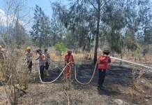 Tiga Hotspot Terpantau di Ulubongka, Api Meluas di Kasiala
