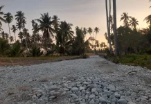 Jalan Baru menuju Pasar Rakyat Ampana Permudah Aktifitas Penjual Sayur