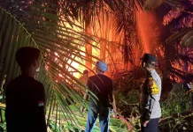 Api Lahap Lahan di Jalan Burung Maleo, Petugas Bergerak Cepat