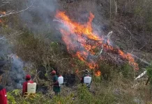 Damkarmat Touna Terjunkan 1 Unit Mobil Pemadam Bantu Padamkan Karhutla Banano