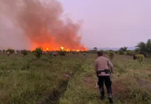Penanganan Karhutla di Pamona Selatan Terus Diintensifkan, Situasi Terkendali
