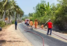 Karhutla Melanda Malotong, Api Bakar Lahan Seluas Satu Hektare