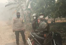 Karhutla Melanda Tiga Desa di Kecamatan Tojo