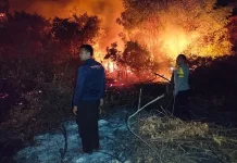 Kebakaran Lahan Cempa Dipadamkan, Polisi Dalami Sumber Api