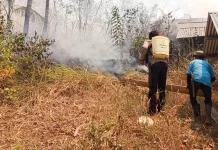 Karhutla Melanda Kawasan Hutan dan Perkebunan Warga di Buyuntaripa