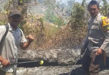 Polsek Ampana Tete Bersama Warga Padamkan Kebakaran Lahan