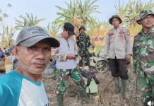 Jalan Rusak Kendala Satgas Karhutla Padamkan Karhutla Lemoro