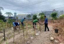 Lapas Luwuk Tumbuhkan Ketahanan Pangan dan Kemandirian